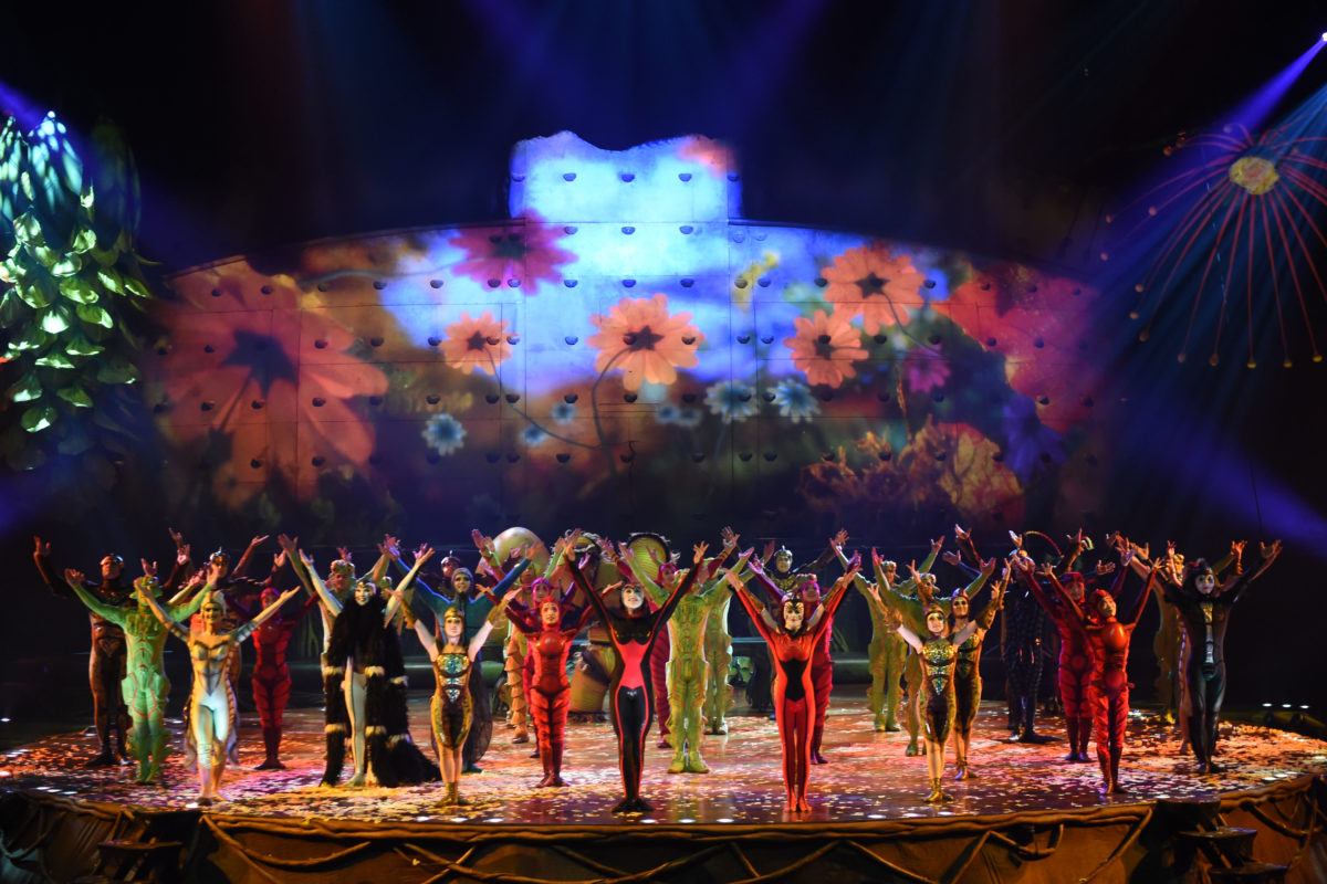Accessibility at Sheffield Arena #OVOCirque Du Soleil